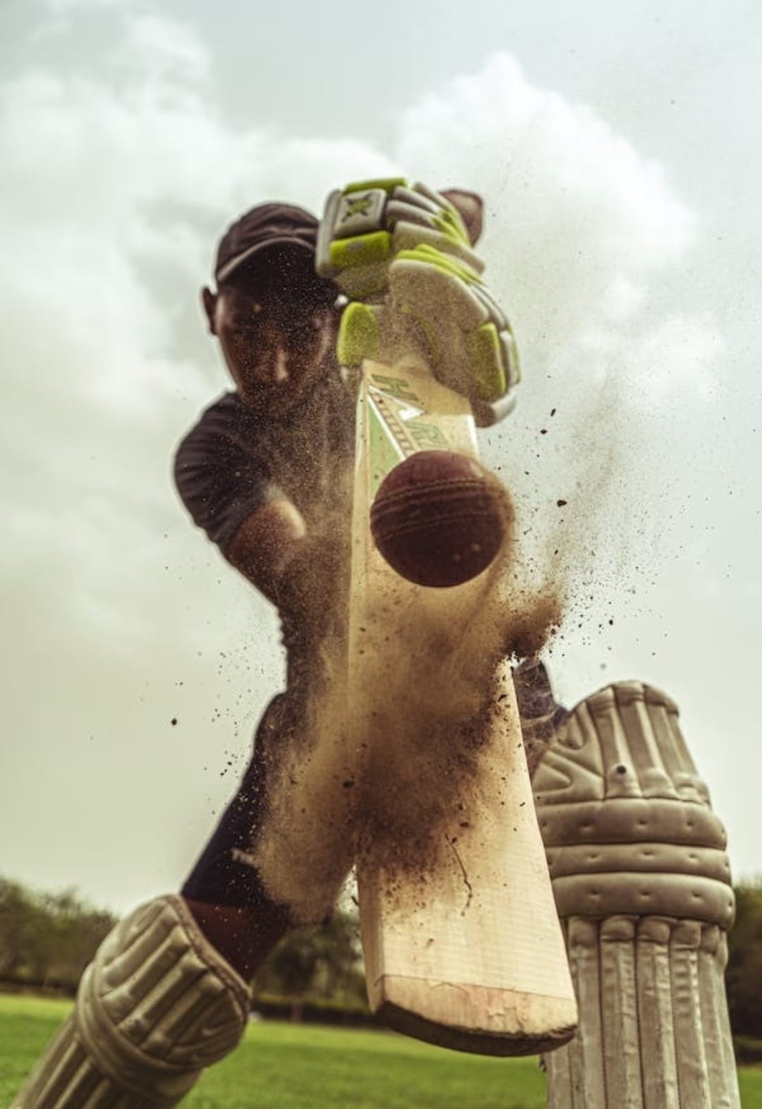 THE CRICKET WORLD CUP- BEYOND THE FRENZY